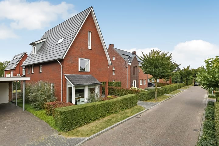 Aurelius 23 in Elst foto