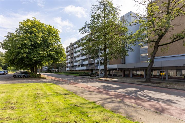 Aureliushof 155B in Maastricht foto