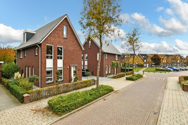 Aureus 80 in Elst foto