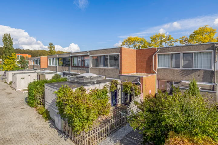 Azarooldoorn 12 in Rotterdam foto