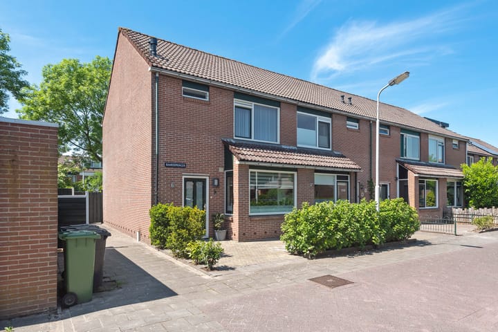 Baardspringer 29 in Koog aan de Zaan foto