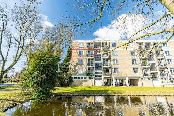 Bachstraat 560 in Leiden foto