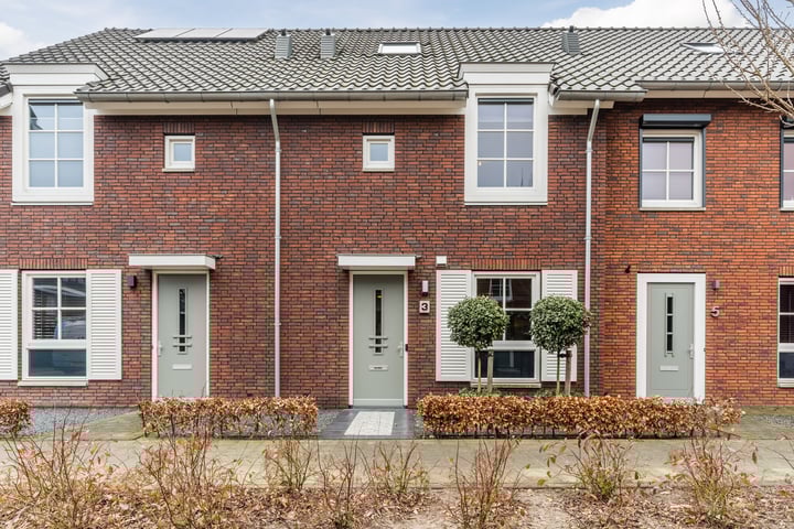 Baggelaar 3 in Dongen foto