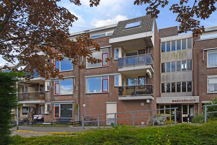 Bakkershof 118 in Wateringen foto
