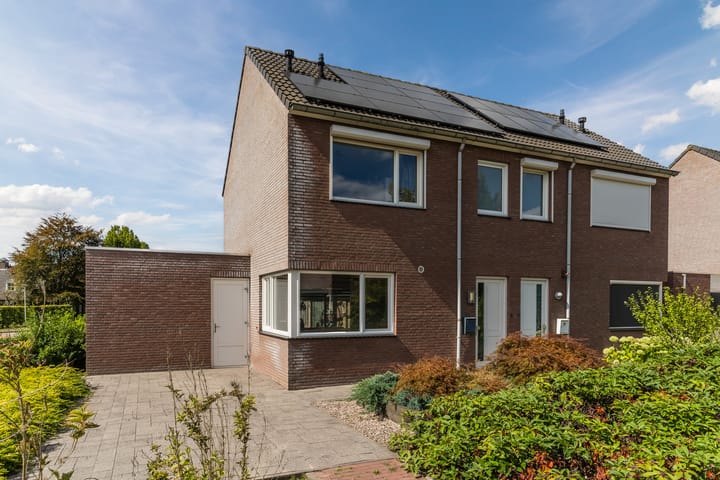 Balisboom 11 in Lierop