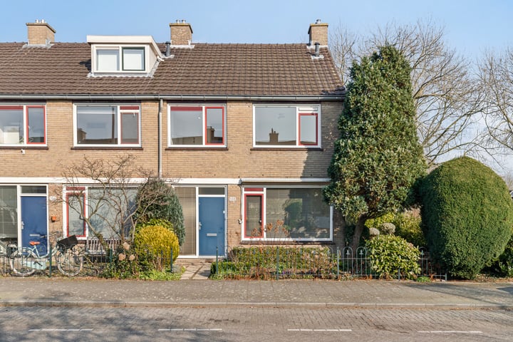 Balsemkruid 108 in Rotterdam foto