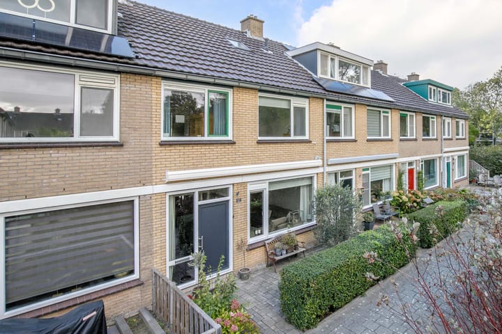 Balsemkruid 62 in Rotterdam foto