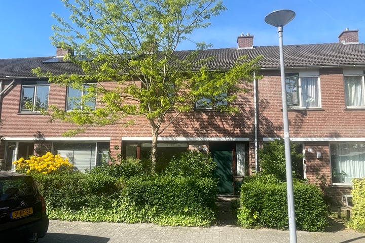 Balsemkruid 95 in Rotterdam foto