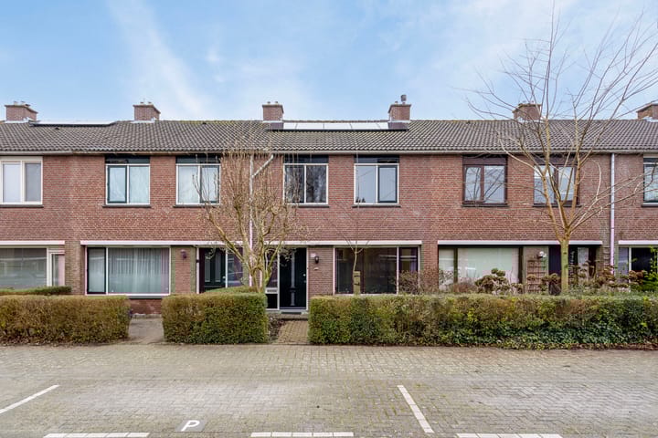 Balsemkruid 97 in Rotterdam foto