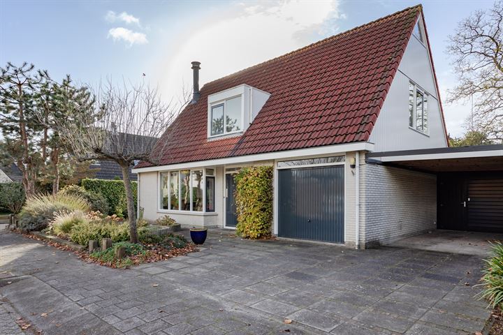Barnsteen 6 in Hoorn foto