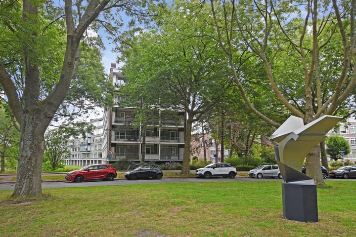 Barnsteenhorst 10 in 's-Gravenhage