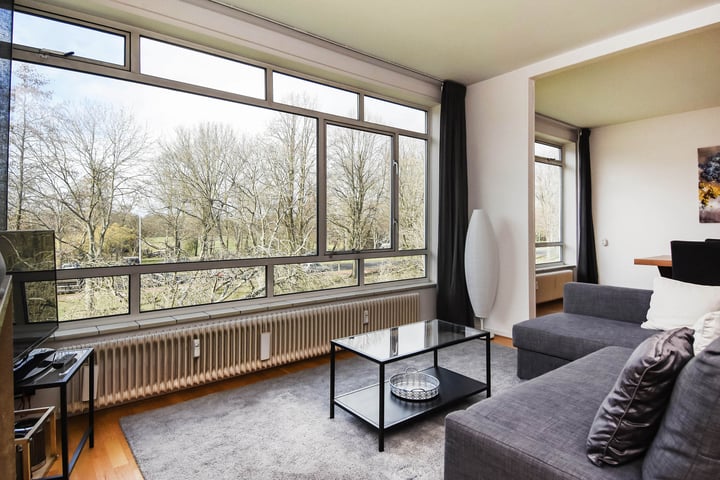Barnsteenhorst 288 in 's-Gravenhage foto