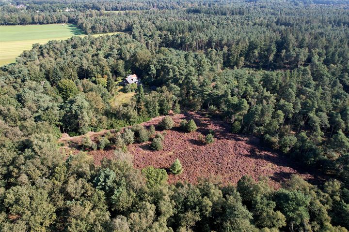 Bathmenseweg 12 in Lettele foto