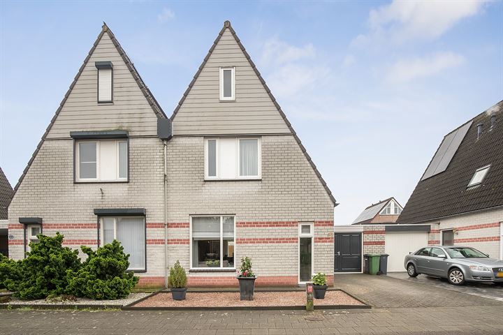 Batspade 55 in Deurne foto