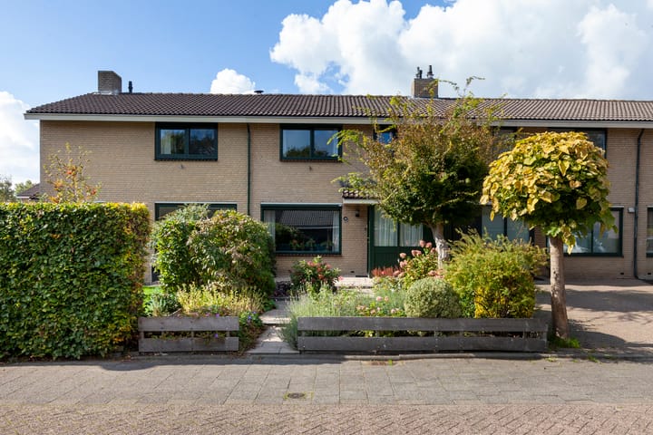 Beemdgras 31 in Gouda foto