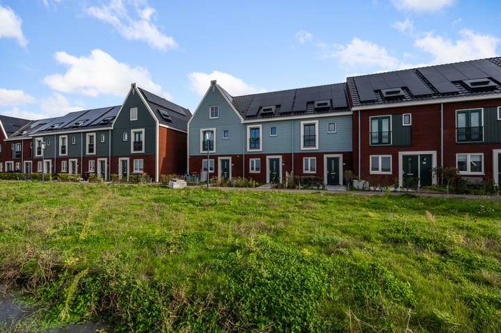 Beemdgras 84 in Assendelft foto