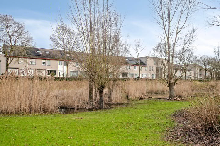 Bellomontedomein 96 in Maastricht