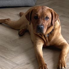 Foto van Benthe