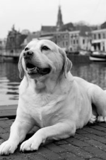 Foto van Benthe