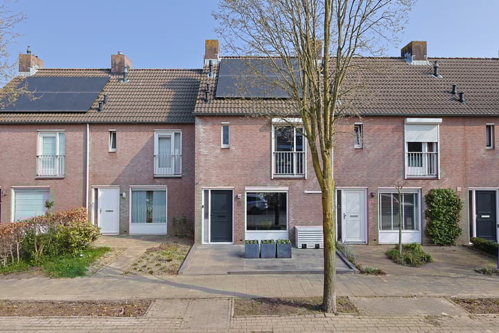 Bereklauw 34 in Udenhout foto