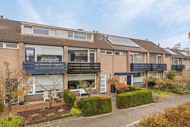 Bergschot 384 in Breda foto