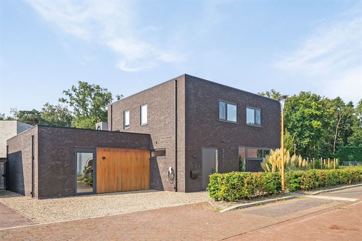 Berkenbosch 3 in Boekel foto