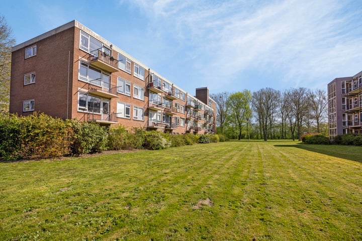 Berkenlaan 161 in Zutphen