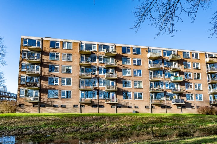 Berkenlaan 169 in Zutphen foto