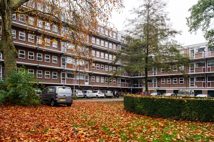 Berkenlaan 195 in Zutphen