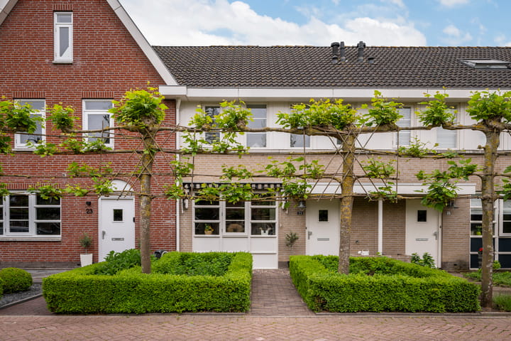 Berkenpad 25 in Sint Philipsland foto