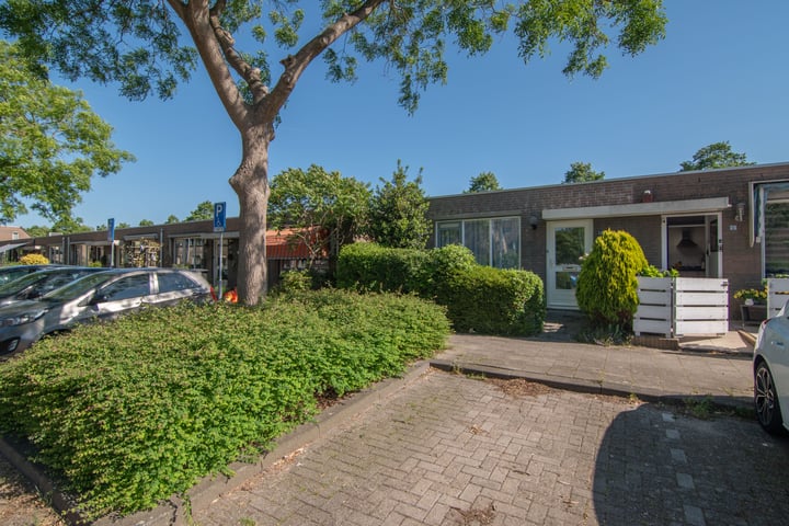 Bermudablauw 24 in Zoetermeer foto
