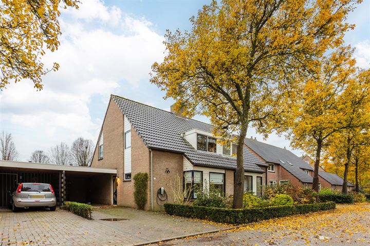 Bieselaar 5 in 's Gravenmoer foto