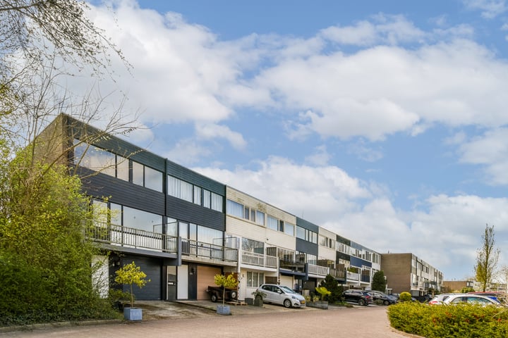 Bieslook 96 in Uithoorn foto