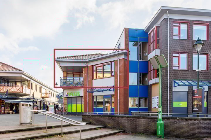 Bijenkorf 2 in Leersum foto