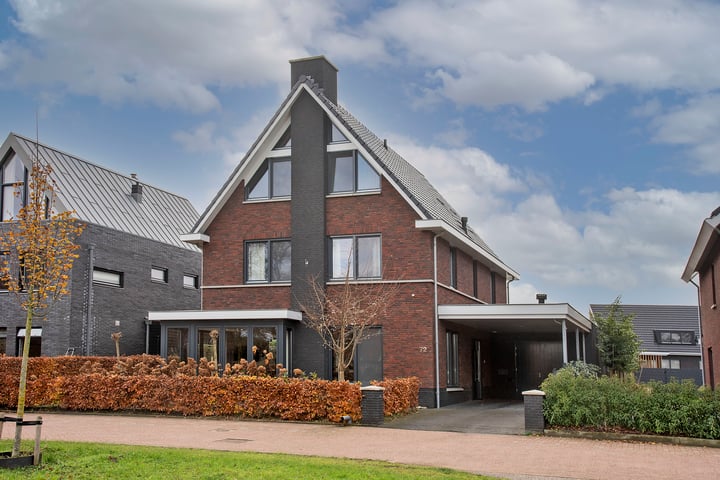 Bijenkorf 72 in Hengelo foto
