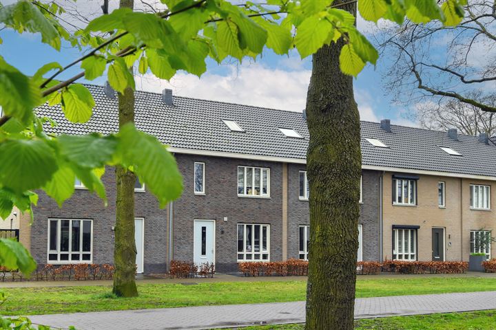 Bijenlaan 1b in Son en Breugel foto