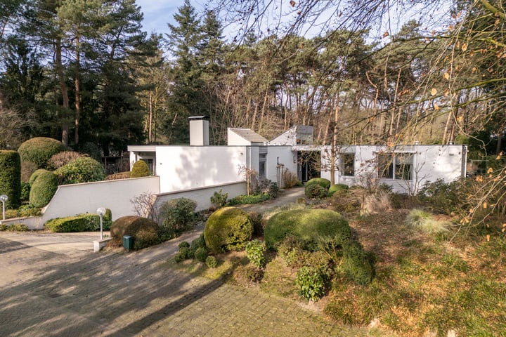 Bijsters 10 in Alphen foto