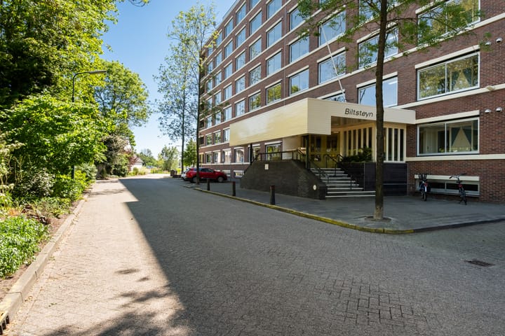 Biltstein 156 in De Bilt
