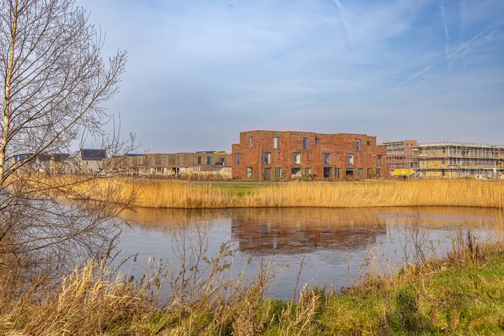 Blaarkop 3 in Meerstad foto