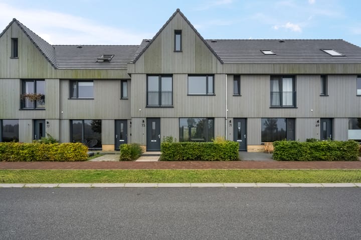 Blaarkop 73 in Meerstad foto