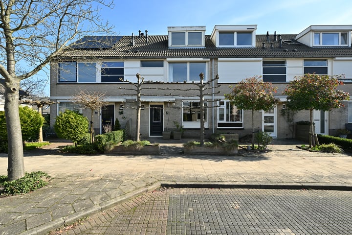 Blaasbalg 3 in Nieuwkoop foto