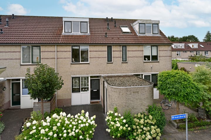 Blaasbalg 41 in Nieuwkoop foto