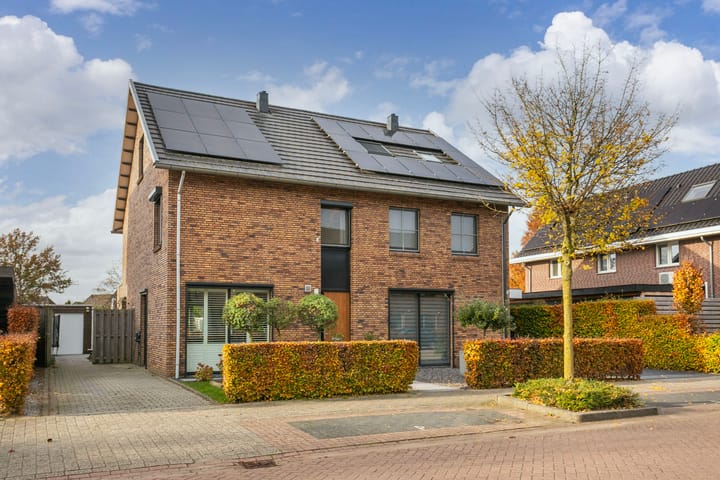 Black Alicante 116 in Huissen