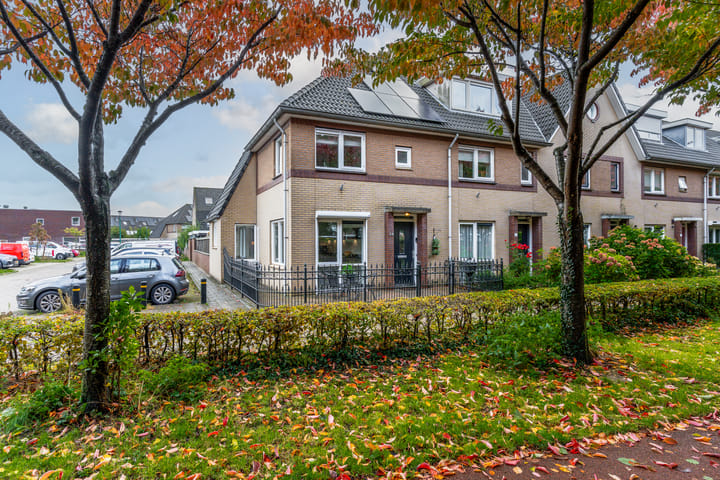 Bladmos 64 in Houten foto