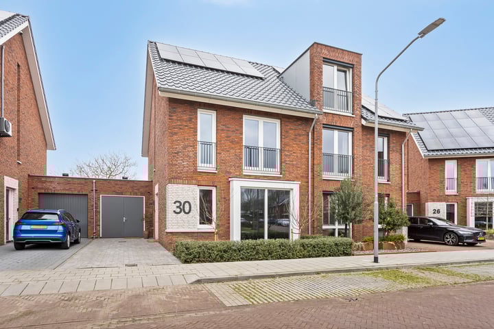Blauwborst 30 in Made foto