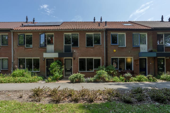 Blauwe Reiger 4 in Rozenburg