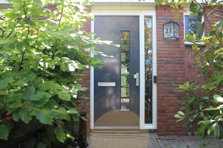 Blauwe Zegge 22 in 's-Gravenhage foto