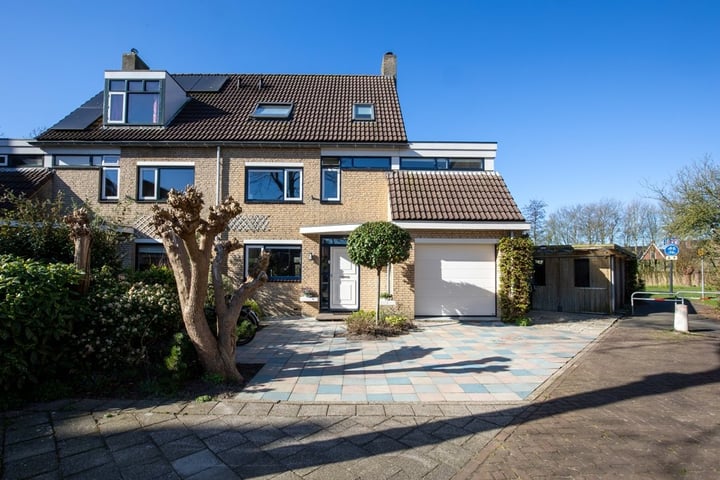 Blauwkarper 4 in Leiden
