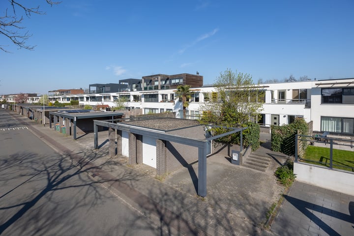 Blauwtjes 53 in Breda