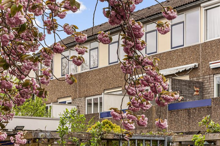 Bloemstede 657 in Maarssen foto
